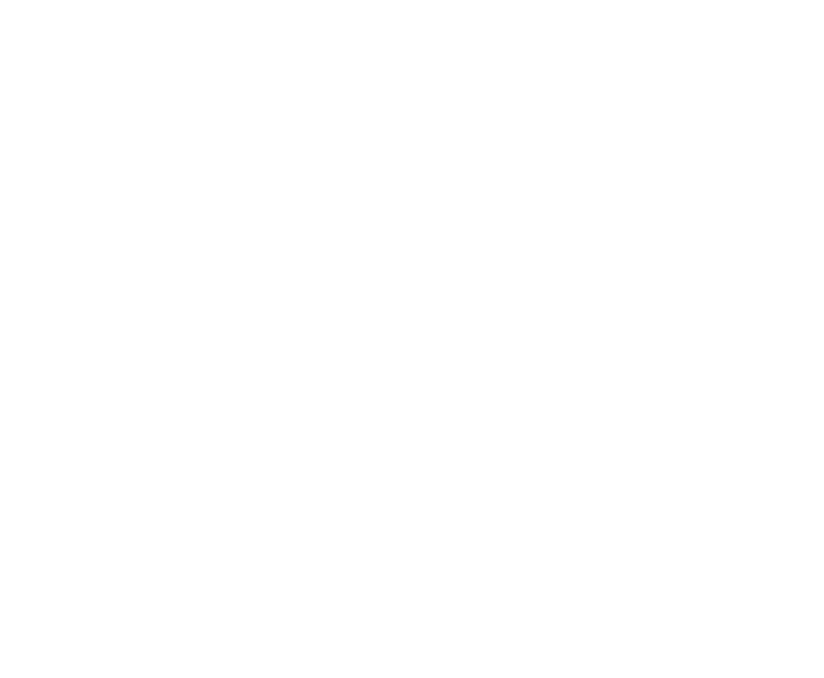 MRX Inspections